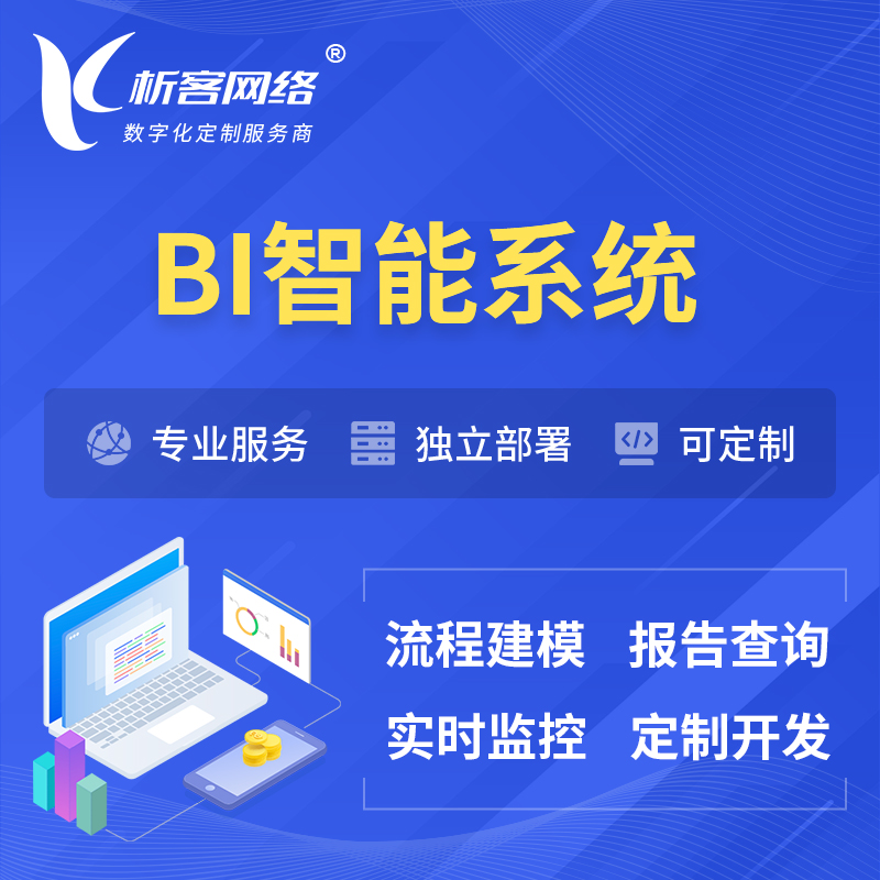 南昌BI智能系统 | BI数据可视化